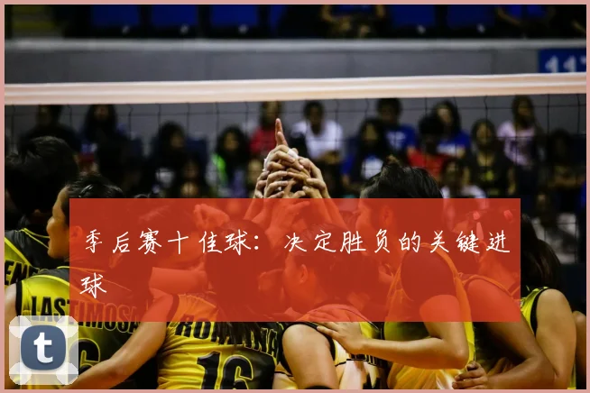季后赛十佳球：决定胜负的关键进球