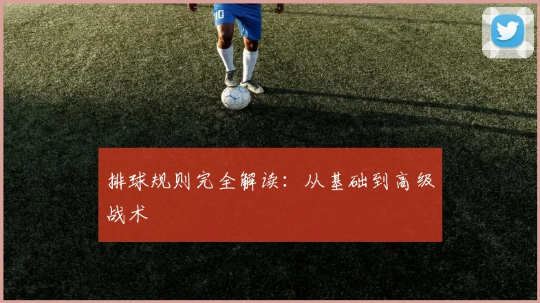 排球规则完全解读：从基础到高级战术