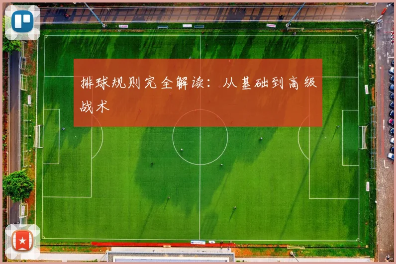 排球规则完全解读：从基础到高级战术